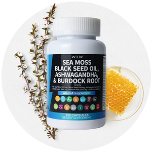 WXW Stock Cápsula de raíz de bardana de musgo marino Cápsulas de musgo marino natural Cápsulas de musgo marino multimineral - Product Image 1