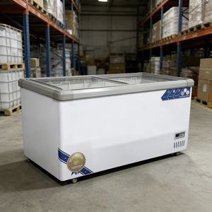 Congélateur domestique et commercial 433L OEM/ODM - Congélateur vertical double usage - Idéal pour la conservation des aliments - Product Image 4