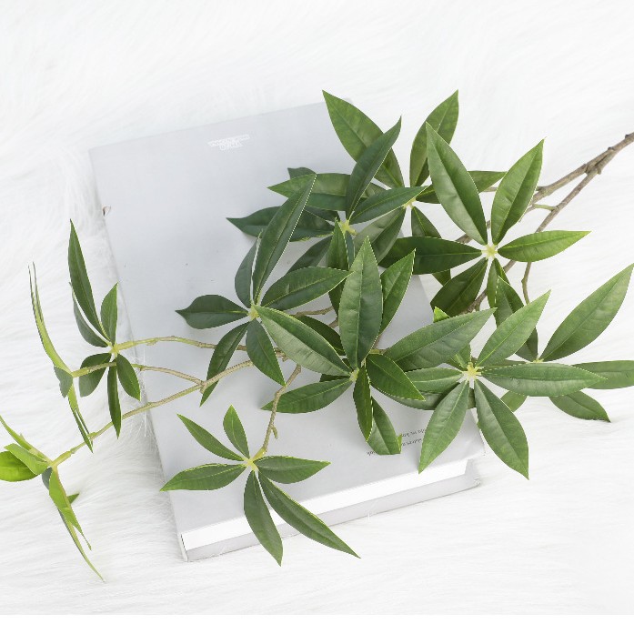 Pequeñas ramas de hojas de árbol del dinero H84cm