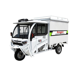 Triciclo de Caja Cerrada de Baja Velocidad KEYU de 800W, Vehículo de Reparto de Corta Distancia para Servicios de Mensajería - Product Image 1