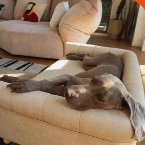 Holz-Haustierbett für Große Hunde & Katzen, Abnehmbares Waschbares Erhöhtes Hundebett mit Holzrahmen, Ganzjahres-Haustierbett - Product Image 4