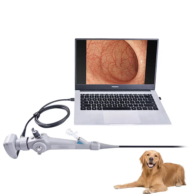 2024 New High Quality Portable USB Veterinary Endoscope For Pet's Clinic