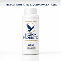 Concentré liquide probiotique soluble dans l'eau pour la santé intestinale des pigeons de course et de voyage 500ml Vente en gros