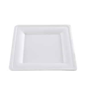 <span class=keywords><strong>Assiette</strong></span> carrée <span class=keywords><strong>jetable</strong></span> de haute qualité de 10 pouces plateau à gâteau cartons de bonne qualité sucre bagasse boîte à lunch <span class=keywords><strong>jetable</strong></span> - Product Image 1