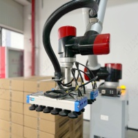 Robot de palettisation haute vitesse LWT pour les pretzels en boîte, les chips de maïs, les biscuits fins et les pop-corn, ligne d'emballage pour les aliments en conserve