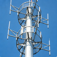 Tour Monopode de Communication Urbaine pour Antenne Cellulaire Wi-Fi, en Acier Q355B Galvanisé à Chaud, Installation Facile