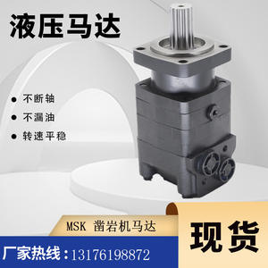 Moteur hydraulique à engrenages MS Model M+S MSQ250SH pour perforatrice - Product Image 3