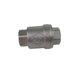 PN16/25 OEM/ODM China Factory Supplier 304 316 Check Swing Globe valve