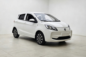 Voiture électrique d'occasion abordable <span class=keywords><strong>Changan</strong></span> <span class=keywords><strong>Benni</strong></span> E Star 2021 <span class=keywords><strong>2022</strong></span> 2023, 301 km d'autonomie, berline EV 5 places, faible kilométrage, zéro émission, à vendre - Product Image 3