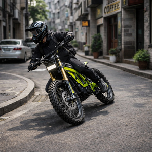 Moto tout-terrain sans balais 8KW Light X avec batterie 60V 40AH, frein à disque hydraulique, cadre en aluminium, 75KM/H, 18 ans d'expérience, Light Bee X Assura - Product Image 6