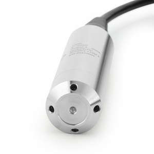 เกจวัดระดับน้ำแบบจุ่มใต้น้ำ LEFOO 4-20mA เซ็นเซอร์วัดระดับน้ำแบบคงที่ Rs485 304/316 - Product Image 6