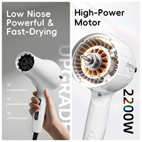 Sèche-cheveux professionnel portatif pour chiens et chats Shernbao Europe 8300 Pro 2200W, pour salon de toilettage et usage familial, sûr pour les poils d'animaux