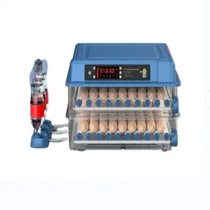 Mini incubadora asequible, incubadoras de huevos, giro automático de huevos, calentamiento uniforme