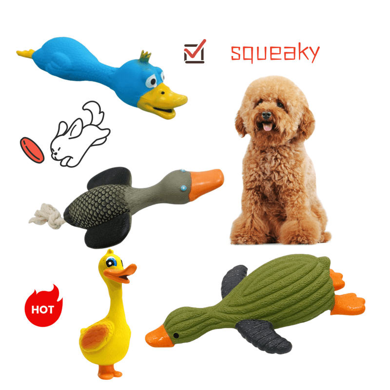 Cute Latex Duck shaped Dog Toy