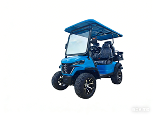 Voiturette de golf électrique classique d'occasion - Product Image 6