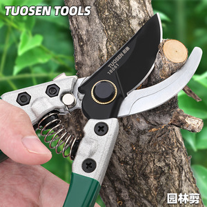 Sécatrices Tuosen 18054 Argentées, Outils de Jardin pour la Taille des Arbres Fruitiers avec Lame Polie et Mécanisme à Ressort - Product Image 3