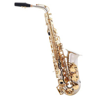 High Quality Saxophone E Flat for Students Beginner with Case Bag