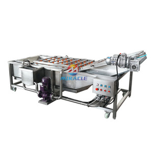 Nettoyant électrique pour machine à laver les olives et pommes avec moteur de brosse pour fruits et légumes frais comme composant principal - Product Image 1