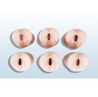Modèle de changement cervical prénatal, modèle d'effacement de la dilatation cervicale, six étapes différentes du col de l'utérus prénatal, organe interne