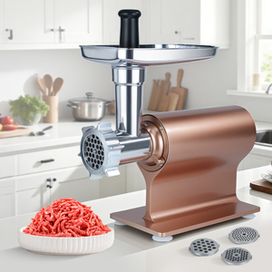 Tritacarne automatico tritacarne in acciaio inossidabile multifunzionale stile semplice - Product Image 1