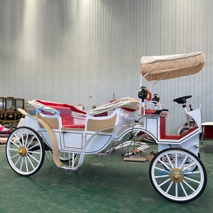 Carruaje Turístico Eléctrico de Lujo para Bodas en Victoria, Vehículos Nuevos de Henan - Product Image 5
