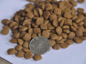 Ligne de production d'aliments <span class=keywords><strong>pour</strong></span> animaux de compagnie multifonctionnelle à grande capacité, extrudée et soufflée, <span class=keywords><strong>pour</strong></span> chiens et chats, de 100 kg à 6 tonnes par heure - Product Image 5