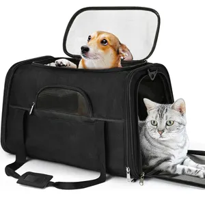 Sac de Transport personnalisé pour chat et chiot, boîte de Transport pliable pour chat, sac fourre-tout de voyage pour animaux de compagnie