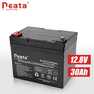 Neata 12V 30AH F13 M5 terminal Lithium LiFePO4 baterai siklus dalam