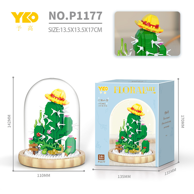 P1177 cactus héros (avec couvercle transparent + socle en bois)