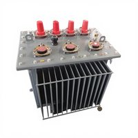 Transformador de Potencia Montado en Poste, Bobinado de Cobre, Alta Capacidad de 600 kVA, Trifásico, 20 kV/415 V, 400 kVA, Precio de Fábrica