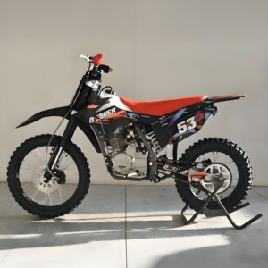 強力なBSE <span class=keywords><strong>250CC</strong></span>ダートバイク4ストローク空冷エンジンピットバイク<span class=keywords><strong>250cc</strong></span>