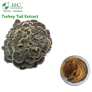 Hoge Kwaliteit Coriolus Versicolor Extract Poeder Turkije Staart Paddestoel Extract