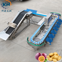 Industriële PLC-gestuurde sorteermachine complete set voor fruit, groente en vlees, complete productielijn