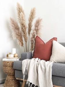 2024 Top vendeur de haute qualité fleur séchée décorative naturelle vraie herbe de pampa grandes pampas beiges pour la décoration de <span class=keywords><strong>mariage</strong></span> - Product Image 5