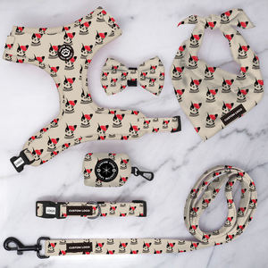 Aksesoris Harga Murah Cetakan Kustom Poliester Tali Lembut Kekang Anjing Peliharaan Kecil dan Kerah - Product Image 4