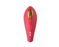 Kabelloser Ferngesteuerter Aufladbarer Tragbarer Vibrator für Frauen & Paare mit 10 Frequenzen Klitoris G-Punkt Stimulator - Geschenkbox