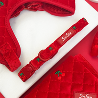 Ensemble de harnais pour chien brodé SinSky Cherry, harnais pour chien en velours matelassé, harnais pour chien réglable et laisse assortie