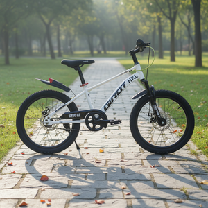 <span class=keywords><strong>Bicicleta</strong></span> de <span class=keywords><strong>Montaña</strong></span> MTB de Acero para Niños y Niñas, con Frenos de Disco, de Una Velocidad, de 16/18/20/22 Pulgadas, Precio de Fábrica - Product Image 4