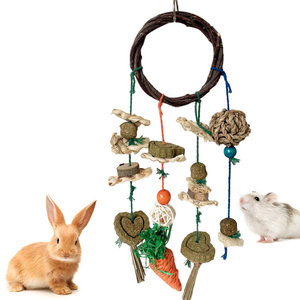Hamster Jouets Naturel pomme Branche Tissé Anneaux Gâteaux D'herbe Boules D'herbe Balles Loofah Combinaisons Lapin Ronger Cordes De Dentition - Product Image 1