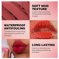 Nouveau design, crème à lèvres vegan, logo personnalisé, fini velours mat, 2 en 1, longue tenue, crème pour les lèvres et les joues, maquillage pour les lèvres, rouge à lèvres en crème