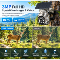 Caméra de chasse solaire 4G WIFI 1080P 3MP avec vidéo en direct pour la surveillance des oiseaux et des animaux sauvages, avec carte TF 256 Go