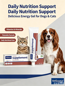 <span class=keywords><strong>Pasta</strong></span> Multi-Vitamine <span class=keywords><strong>per</strong></span> <span class=keywords><strong>Gatti</strong></span> e Cani, Integratore Quotidiano <span class=keywords><strong>per</strong></span> Gattini, Supporto Immunitario, Alta Calorizzazione, Rapido Assorbimento, Supplemento <span class=keywords><strong>per</strong></span> Animali Domestici - Product Image 4