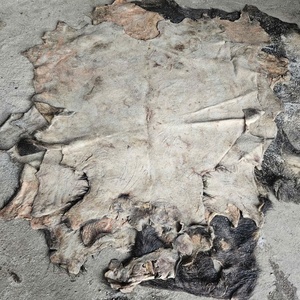 Double Faced Wet Salted Cowhides and Buffalo Hides Sustainable Raw Hide Supply for Global <b>Leather</b> Industry Importers - Product Image 4
