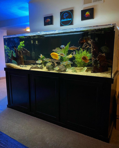 Superbe aquarium à cylindre rectangulaire intérieur/extérieur personnalisé Aquariums en plastique acrylique en fibre de verre Usine de corail pour la vie marine - Product Image 6