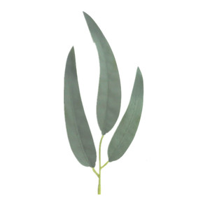 Feuilles d'eucalyptus artificielles décoratives d'intérieur et <span class=keywords><strong>plantes</strong></span> en plastique vert pomme pour la maison ou le <span class=keywords><strong>bureau</strong></span> durables et élégantes - Product Image 2