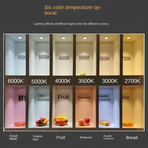 100-120V AC 12 vatios redondo empotrado fijo LED Panel abajo luz regulable LED Mini techo punto abajo luces - Product Image 2