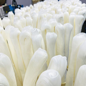 Système d'ultrafiltration à trois membranes, purificateur d'eau, 8 <span class=keywords><strong>Dalton</strong></span>, système de laboratoire - Product Image 4