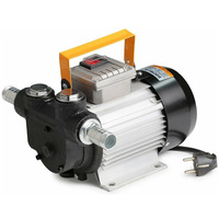 Pompe à carburant électrique portable 110V AC pour transfert d'huile de moteur diesel, moteur auto-amorçant 550W pour station-service mobile