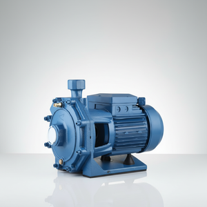 Bomba de agua para riego de jardín WB550 0.75HP 0.55KW TECHNIC POWER, autocebante, eléctrica, de hierro fundido - Product Image 1