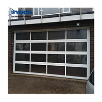 Porte sectionnelle alu 16x8, verre trempé, vue complète, prix, option Plexiglas
